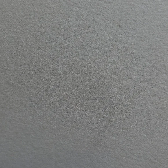 Tree Print - Picture 4 of 4